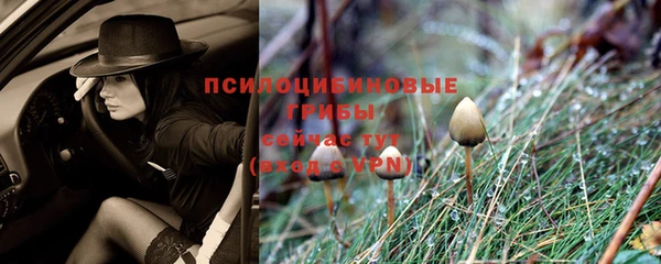 первитин Вязники