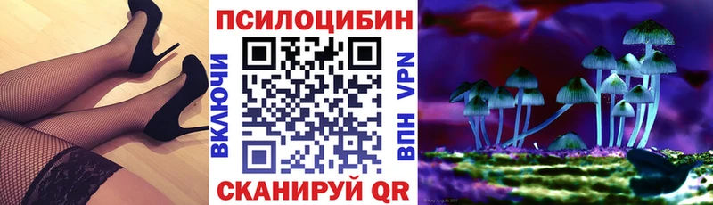 сколько стоит  Сольцы  Галлюциногенные грибы MAGIC MUSHROOMS 